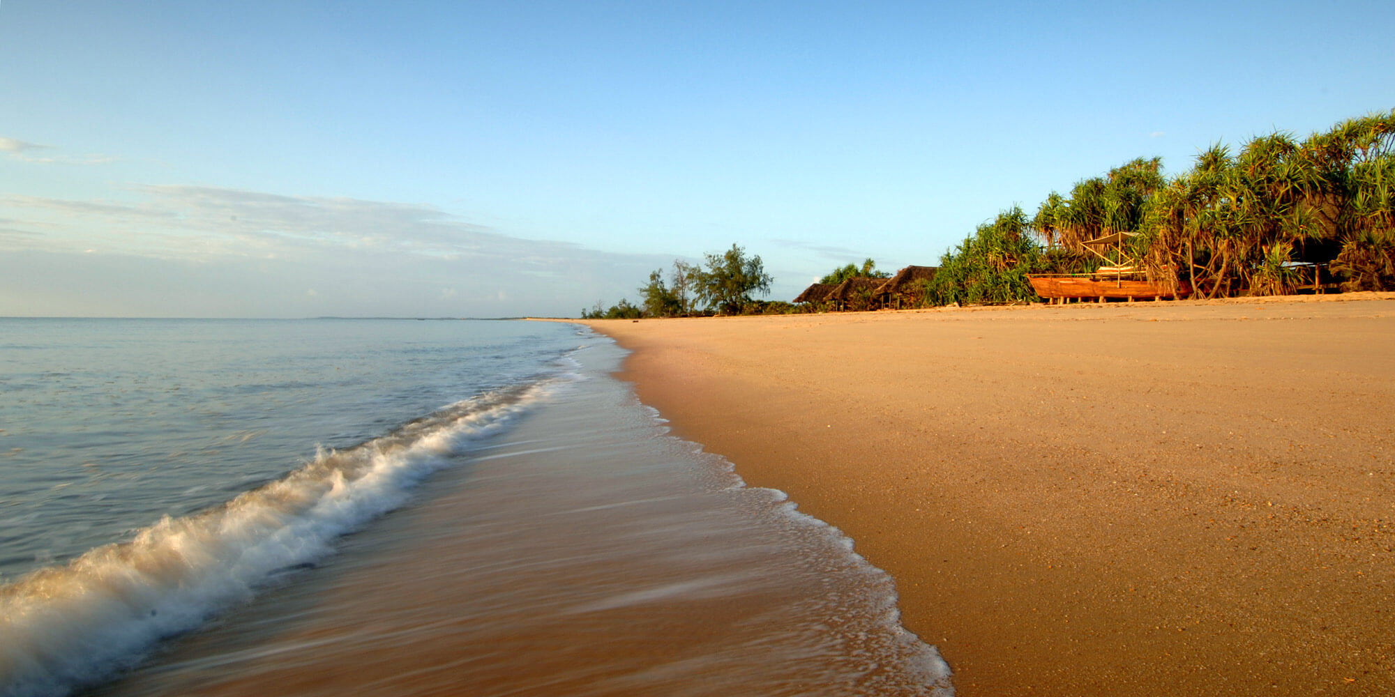 banner-image